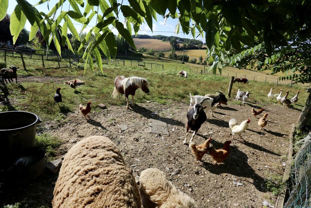 La Ferme Couderc Βίλα Castelnaud-de-Gratecambe Εξωτερικό φωτογραφία